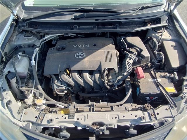 08.jpg