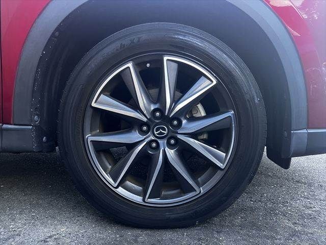 2fcdf6adf62a2e465dd16568cc37073d.jpg