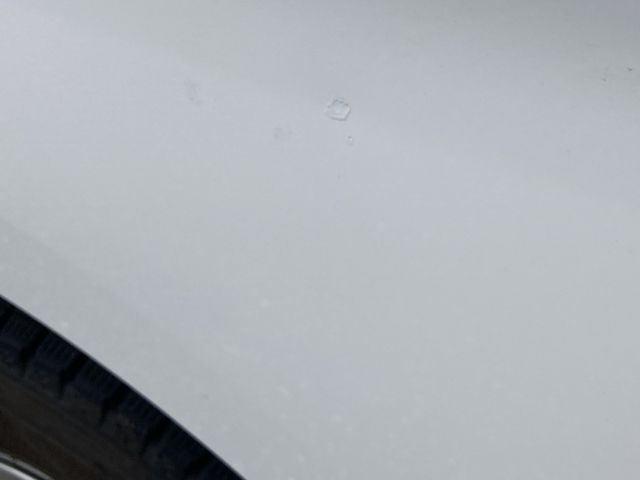 83c225e017d19ae8a471e372ecc9039d.jpg