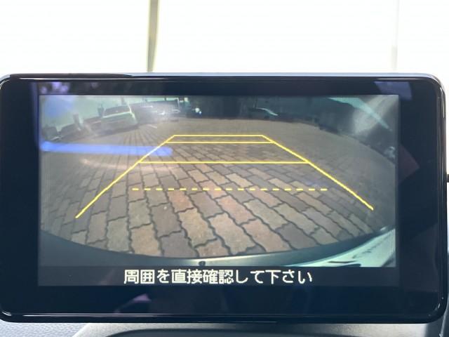 22881719_carP_l_14.jpg