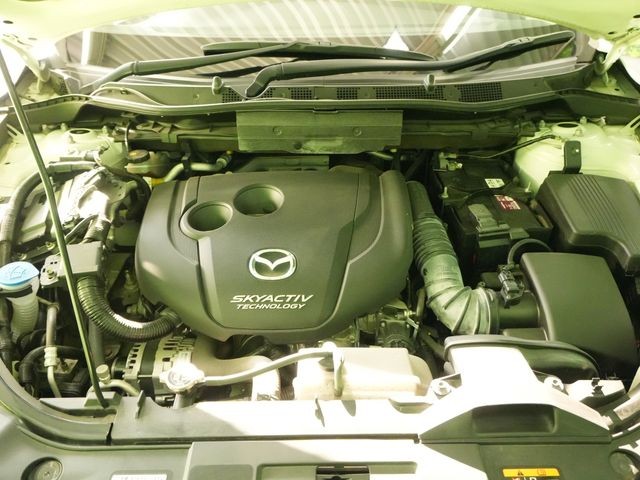 d55a22712cb4395cc58fdcff079e827a.jpg