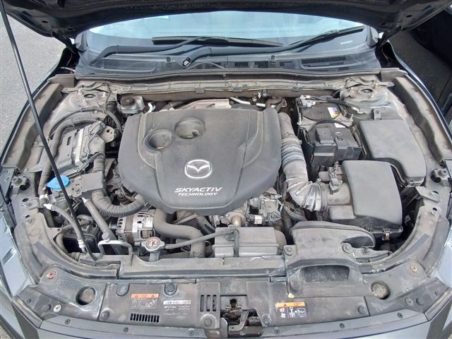 08.jpg
