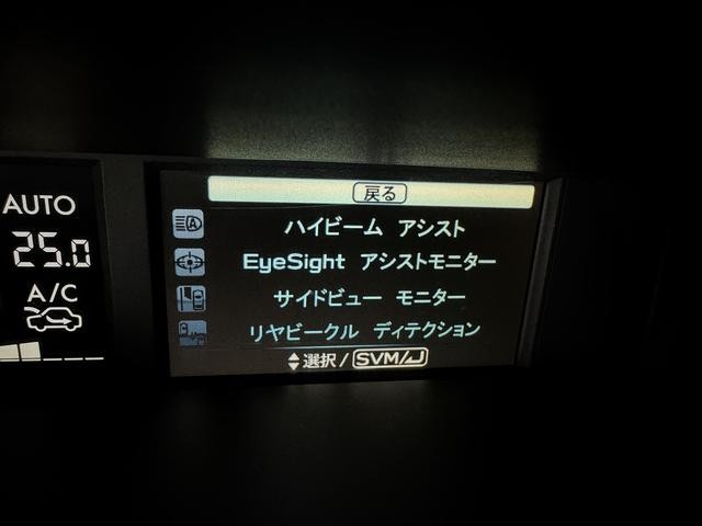 1230638A30260719W00217.jpg