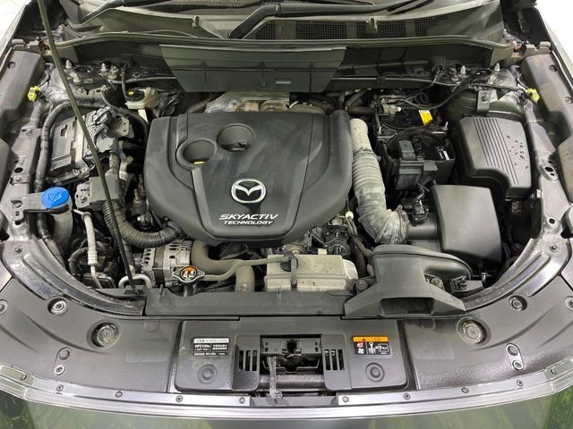 7bd70028959fd17575e4452372702686.jpg