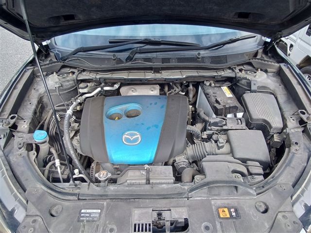 08.jpg