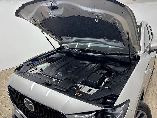 ae9518fcfed8f155ab26f593b8e2394b.jpg