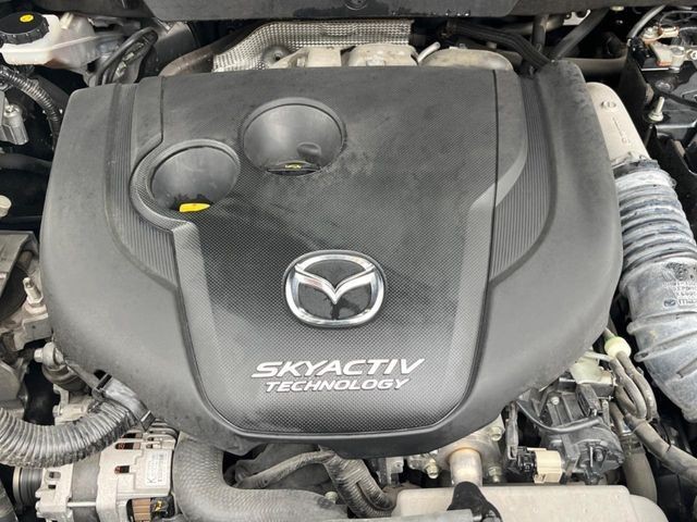 aea95239dd5825ca5995932011de3204.jpg