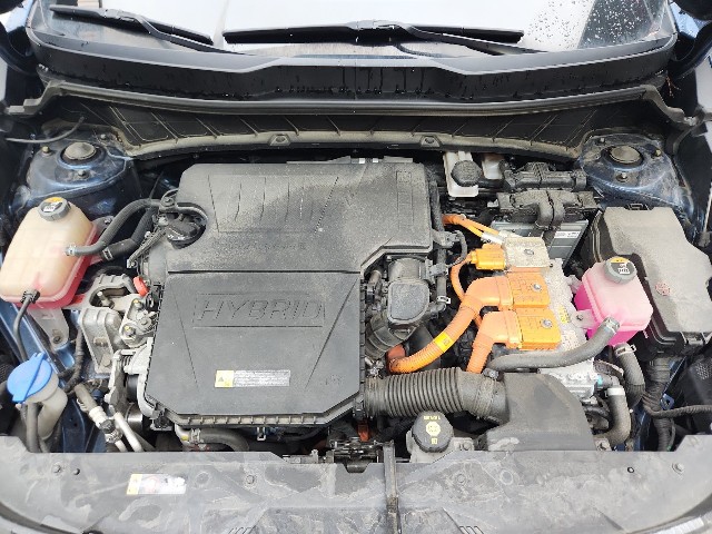 lotterental_143246526_DKMjs_1.jpg