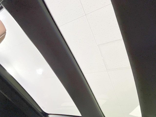 1636796681753e52125abdcbf9078693.jpg