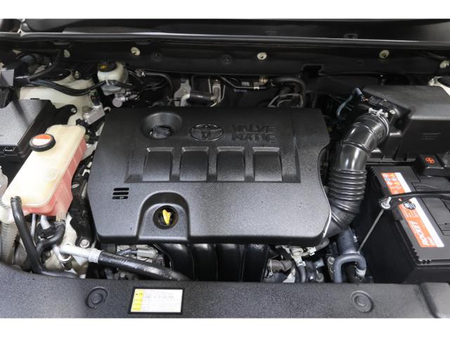 4233ae256ef643ecf9cb450e1bc891c0.jpeg