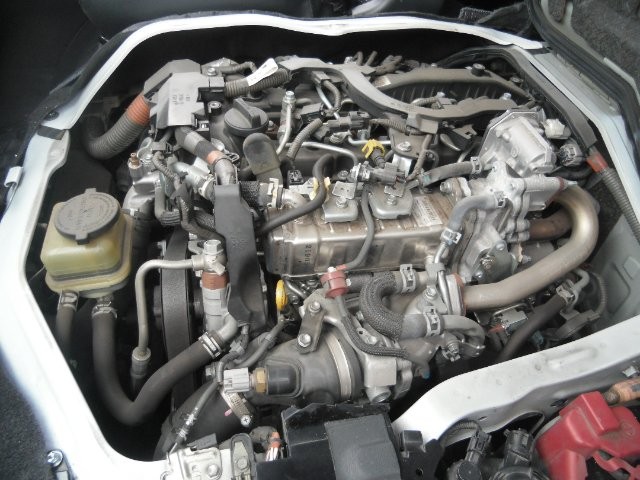 a384f2a5b53347c1a573933c5a123678.jpg
