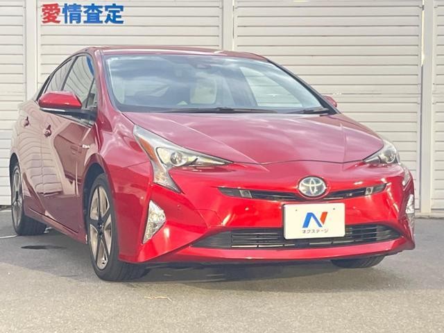27094509_carP_l_9.jpg