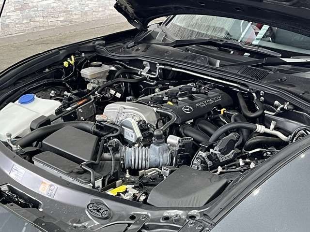 e502a2d2b41de9abadb9d928f188ba86.jpg