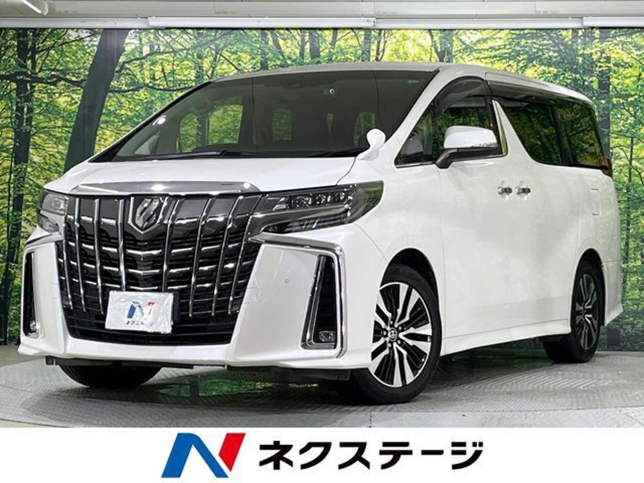 2021 Toyota Alphard, photo 1 of 1