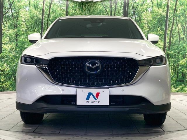 378d34f8d9d2fb62a87f88b7a050f57c.jpg