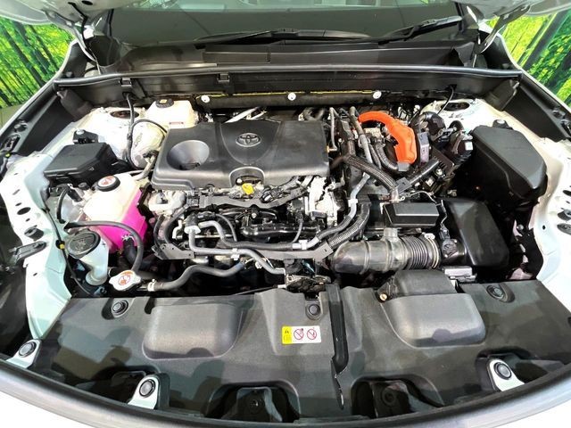 b63cb9997ed7d8cf34f2635bb62c69d9.jpg