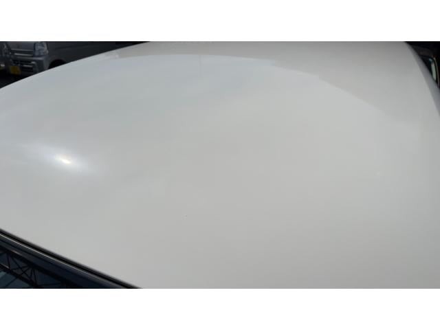 0202942A30261017W00118.jpg