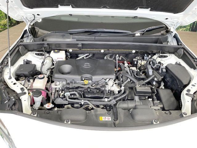 a32318c46162c624a47f553e674f1967.jpg