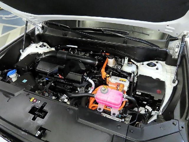 9fca61e054052ebc28afc63f1c5dd67f.jpeg