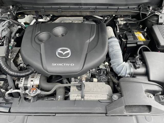 3534faa5c50178e72c6a79ad2137a68a.jpg