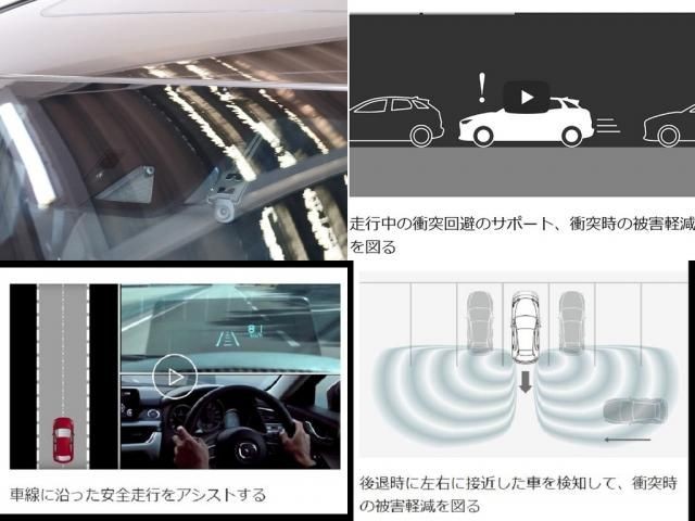 12e645835b9b99cbd71a8f93cbf871b1.jpg