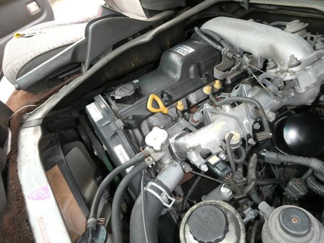 0403642A30240607W00113.jpg