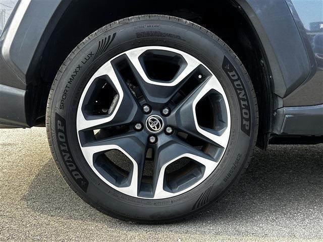 bce964fd47dc3c91e673f35df7c40277.jpg