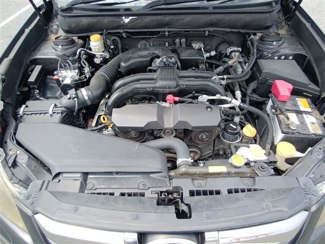 08.jpg