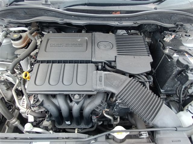 08.jpg