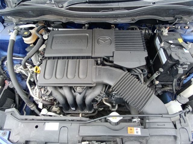 08.jpg