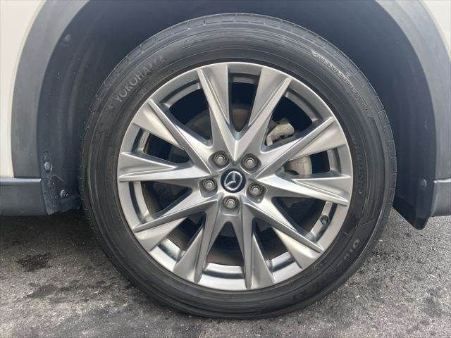 def141520772b6c98d987b62ddec5432.jpg