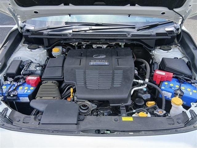 924d28b10384218c5bde69cb38980c9e.jpg
