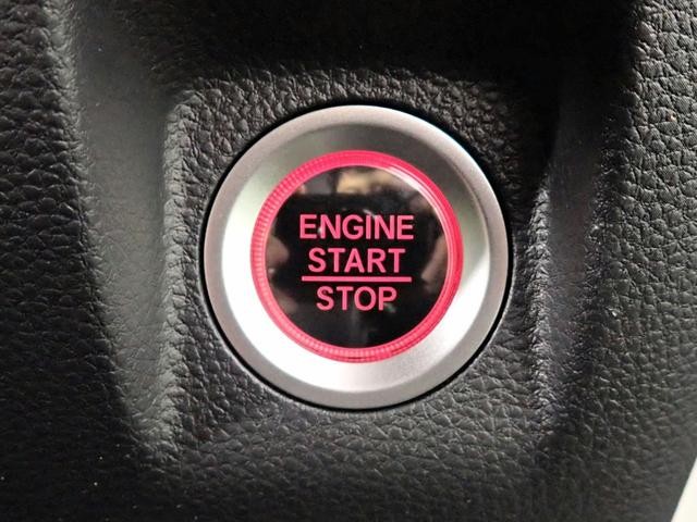 0204644A30260922W00312.jpg