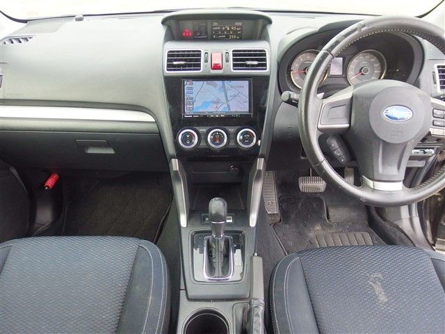 06.jpg