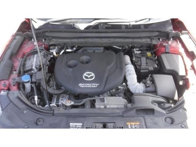 a1eba4ec24cfd9b40bbdc3a77814aad8.jpg