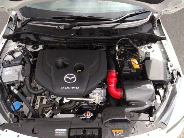 340e62e5e98644bf95df84ca18e1c978.jpg