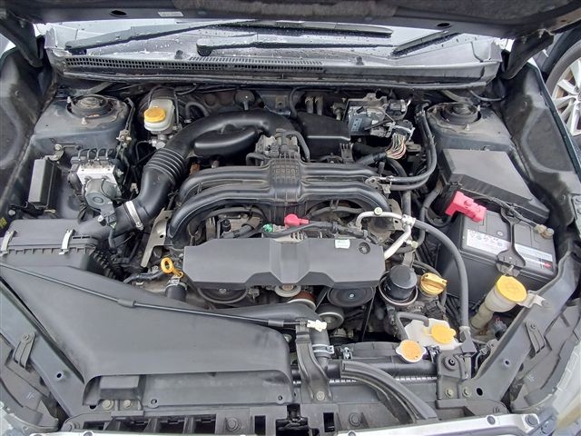 08.jpg