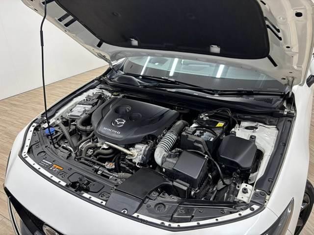 0804910A20260912D00113.jpg