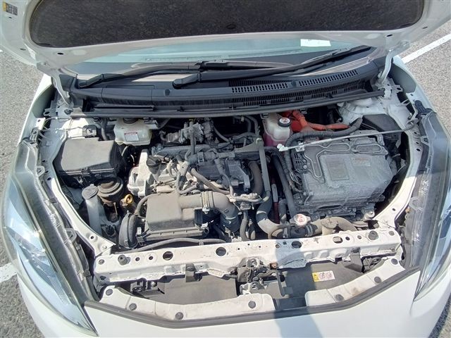 08.jpg