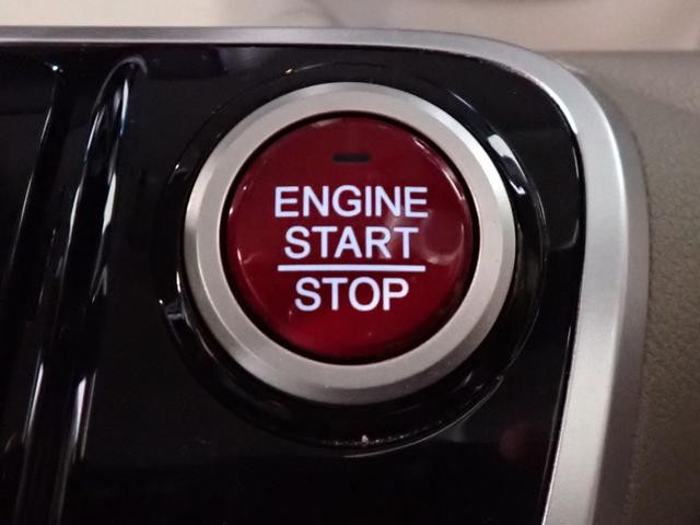 0204793A30260823W00115.jpg