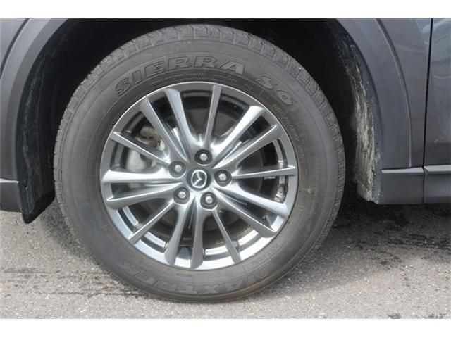 44ba5caee485e7ddb149fa687cb9fea8.jpg