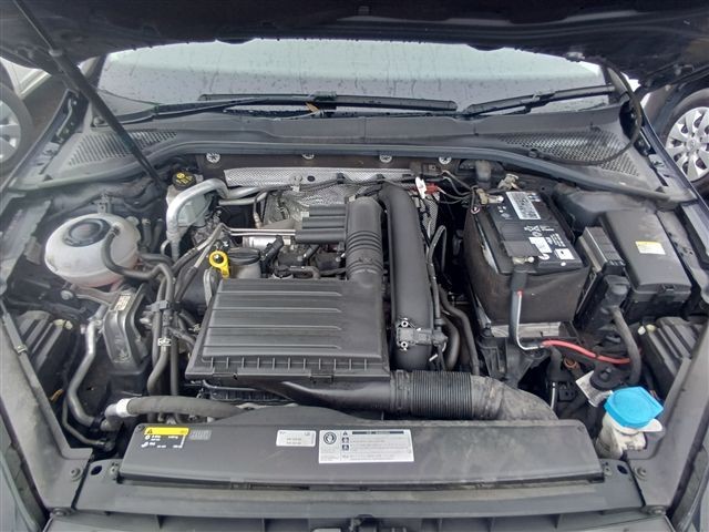 08.jpg
