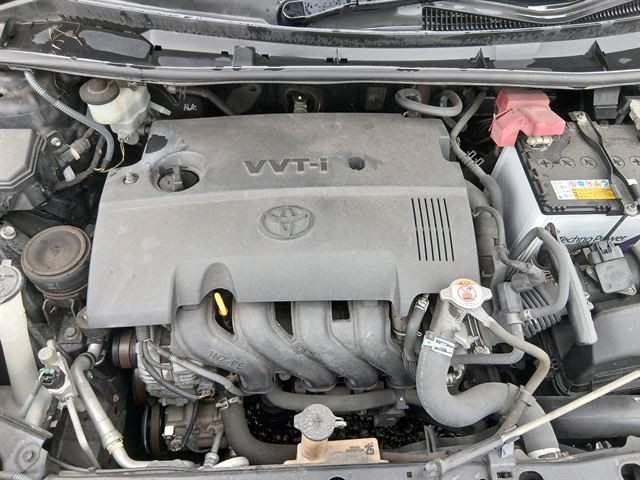 08.jpg