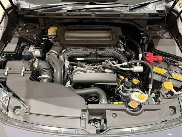 89e8f4a63891b4627f52b75c44d6ae9b.jpg