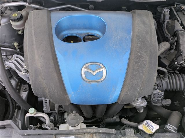 08.jpg