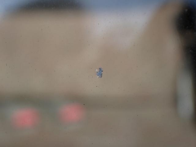 90a23ab592f56eee090d39eba453409a.jpeg