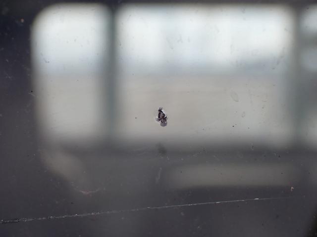 88b43ab42b8b7eac36817daa88ae5121.jpeg