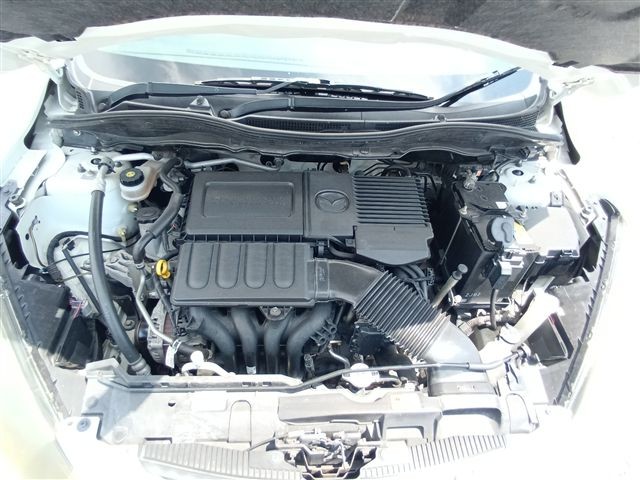 08.jpg