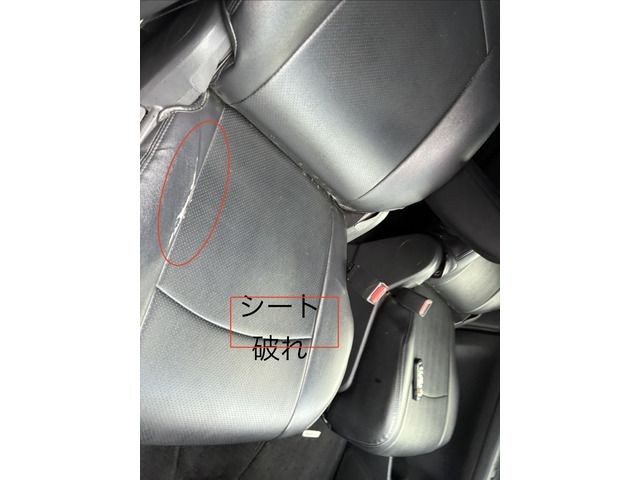 5aa85cd8714d031dd7a0a9eae35e2460.jpg