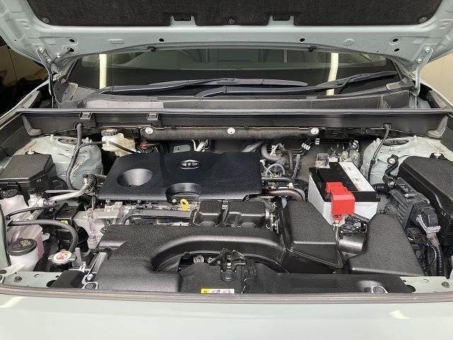 1e16b1b2a7b5412923ae82ca9032ecdb.jpg